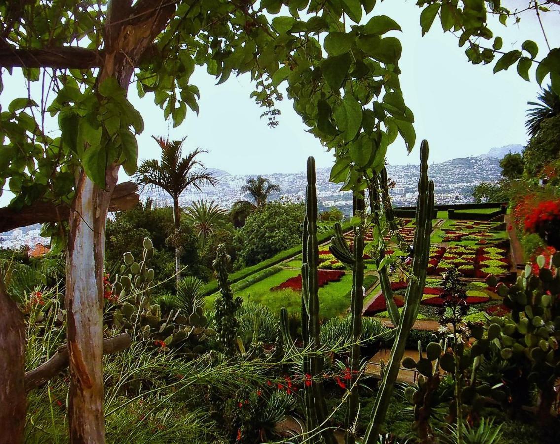 Apartment - The Historical Center Of Funchal In Alojamento Local Екстериор снимка