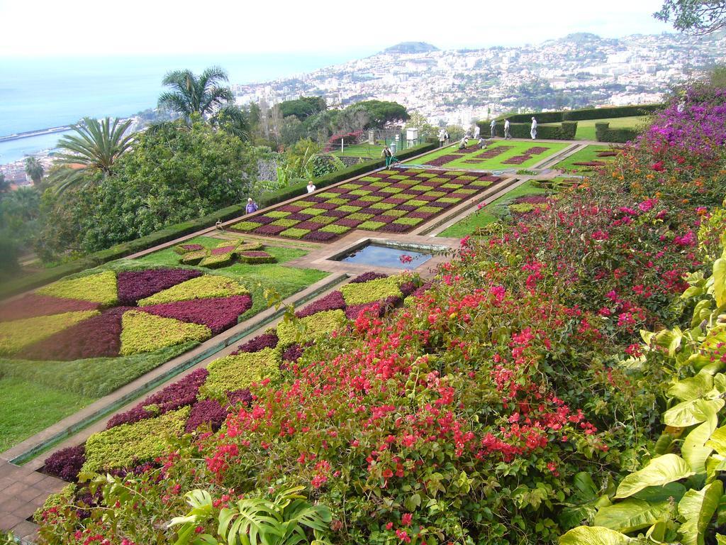 Apartment - The Historical Center Of Funchal In Alojamento Local Екстериор снимка