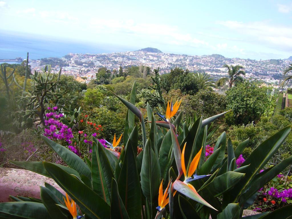 Apartment - The Historical Center Of Funchal In Alojamento Local Екстериор снимка