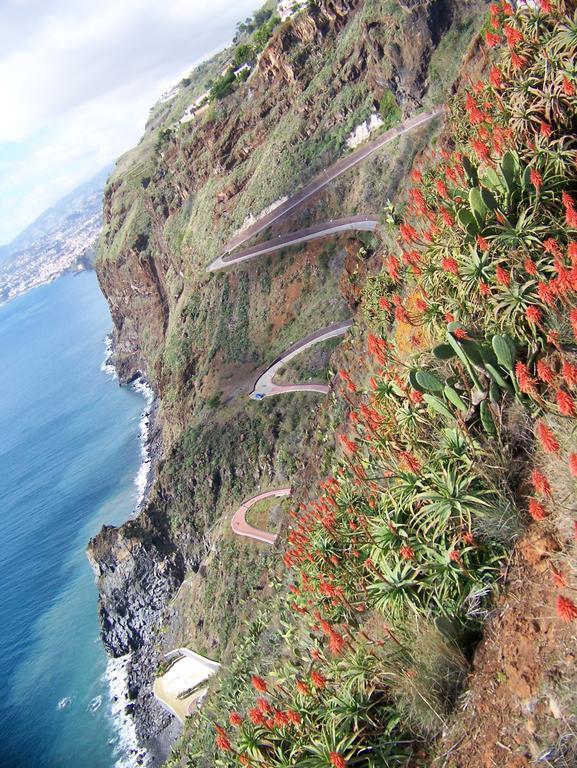 Apartment - The Historical Center Of Funchal In Alojamento Local Екстериор снимка