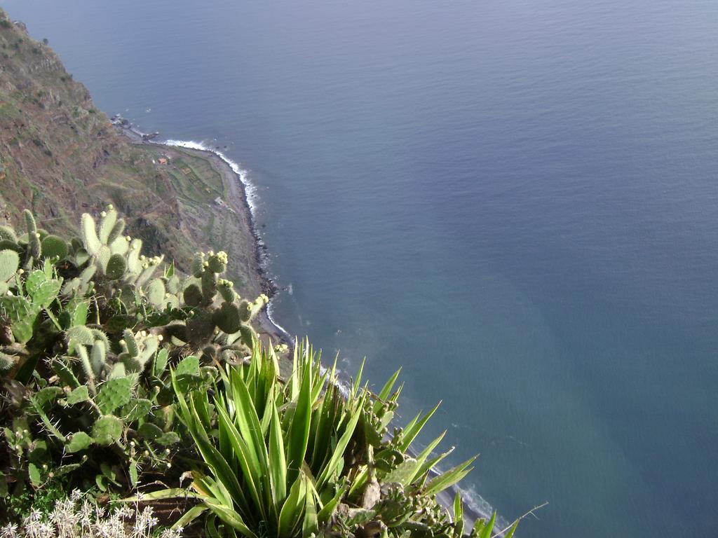 Apartment - The Historical Center Of Funchal In Alojamento Local Екстериор снимка